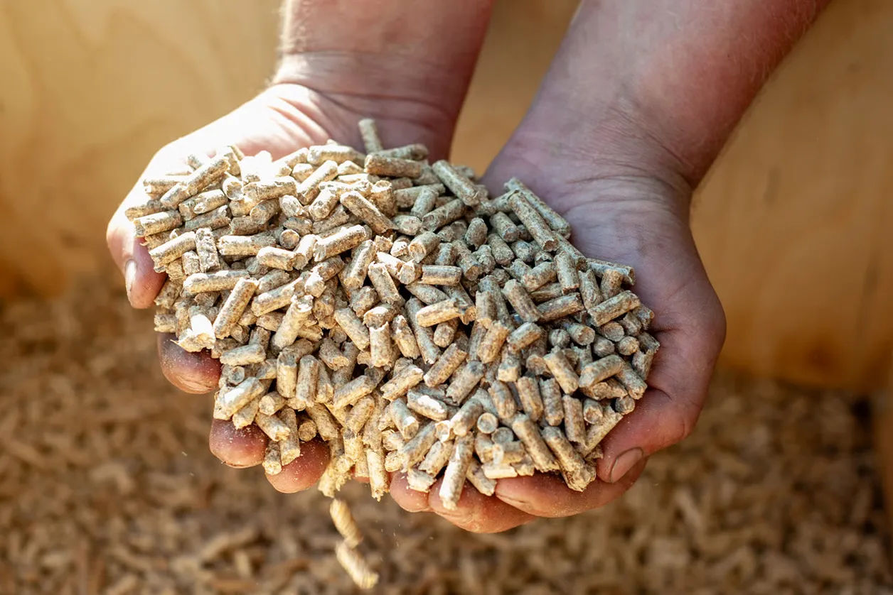 pellet drzewny do pieca i kotła z dostawą na terenie Polski